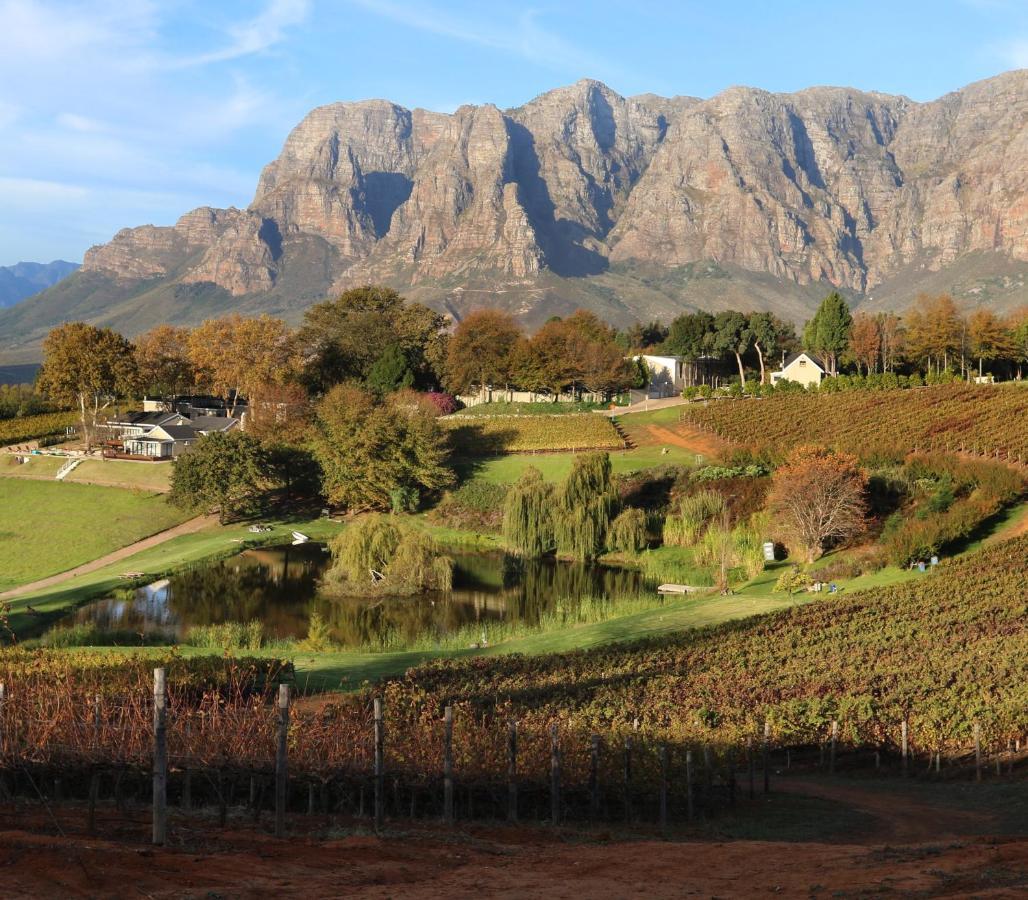 Alluvia Boutique Winery & Luxury Accommodation 斯泰伦博斯 外观 照片 The Paarl Mountain Range