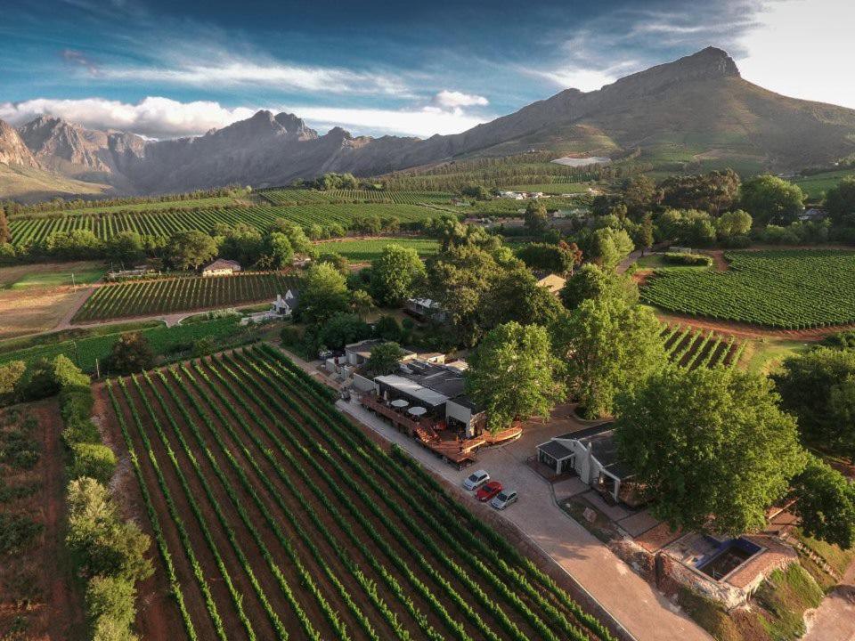 Alluvia Boutique Winery & Luxury Accommodation 斯泰伦博斯 外观 照片 Aerial view of the winery