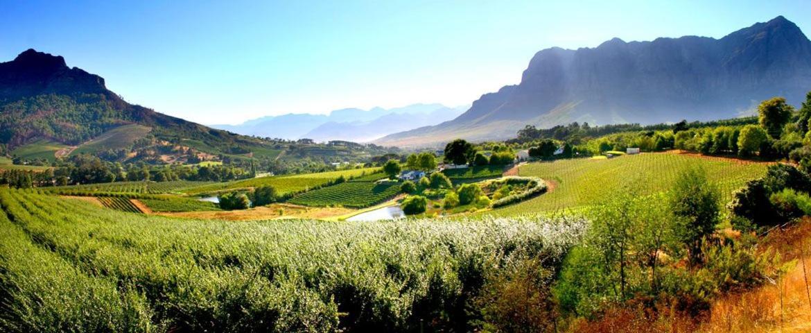 Alluvia Boutique Winery & Luxury Accommodation 斯泰伦博斯 外观 照片 The Paarl Wine Route