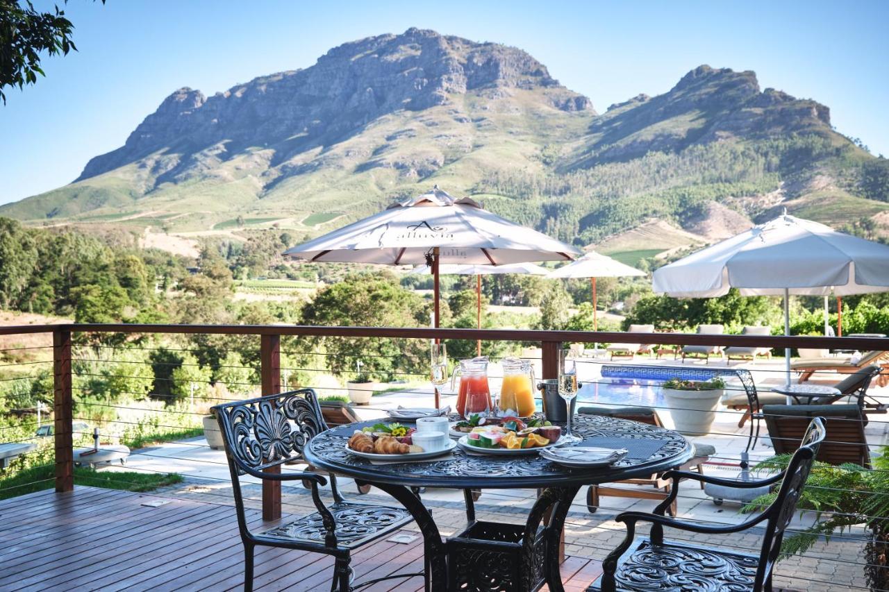 Alluvia Boutique Winery & Luxury Accommodation 斯泰伦博斯 外观 照片 View of the Kleinrivierveld