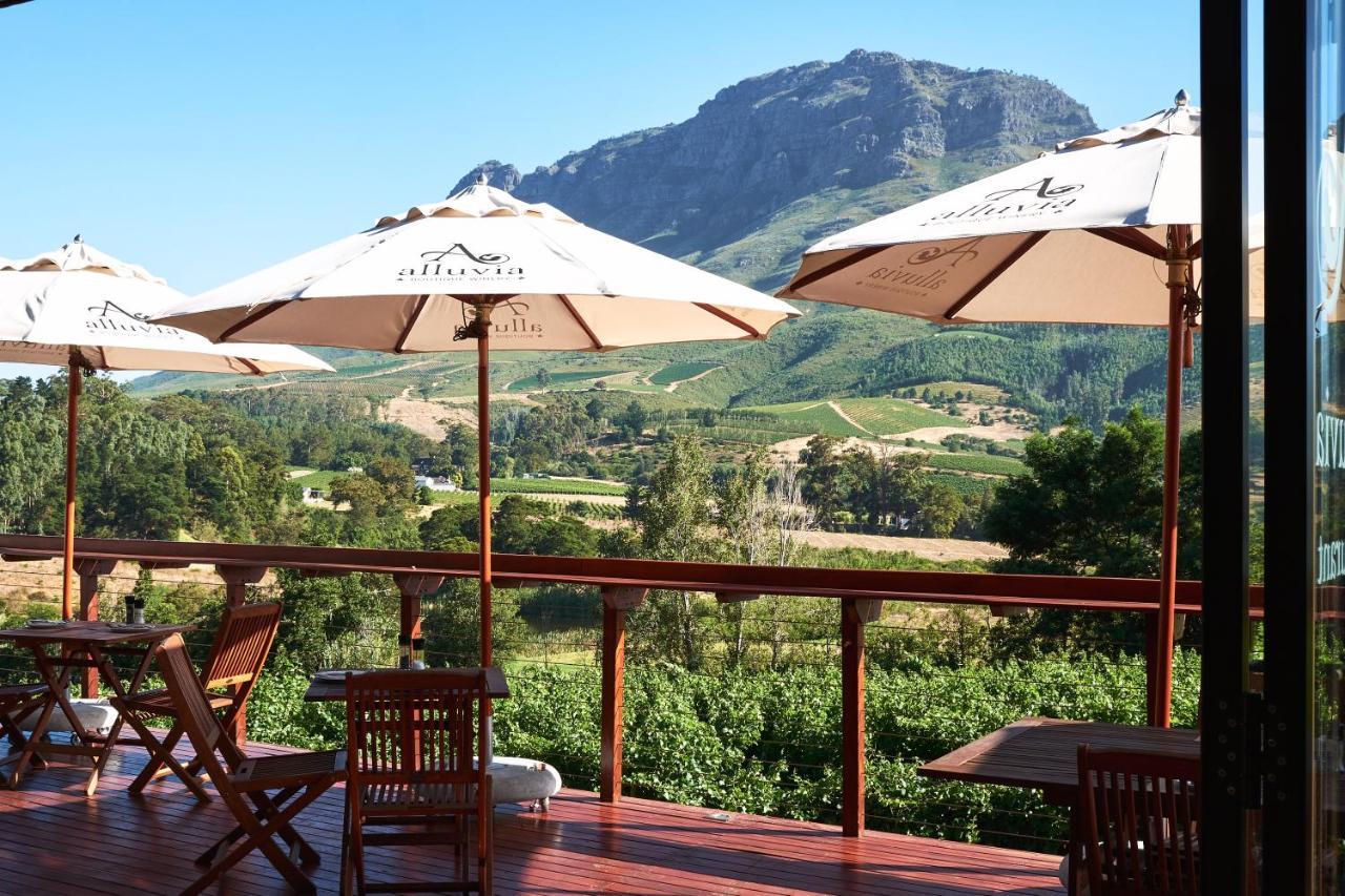 Alluvia Boutique Winery & Luxury Accommodation 斯泰伦博斯 外观 照片 View of the Kleinrivierveld