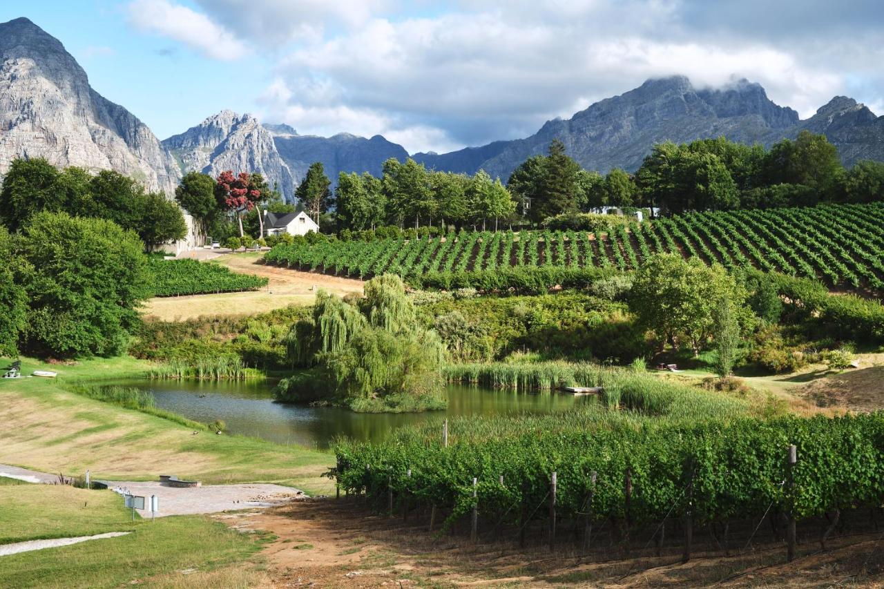 Alluvia Boutique Winery & Luxury Accommodation 斯泰伦博斯 外观 照片 Wine estate in Stellenbosch