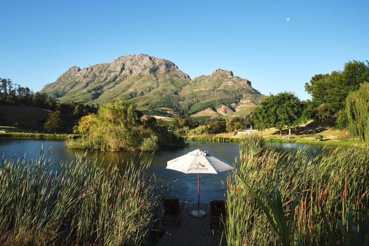 Alluvia Boutique Winery & Luxury Accommodation 斯泰伦博斯 外观 照片 View of the Kleinrivierveld