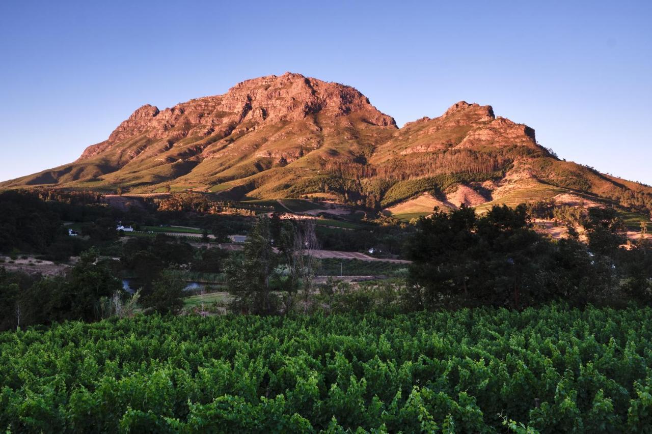 Alluvia Boutique Winery & Luxury Accommodation 斯泰伦博斯 外观 照片 The Paarl Mountain