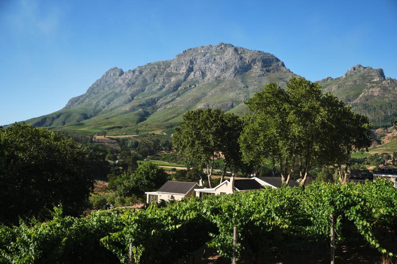 Alluvia Boutique Winery & Luxury Accommodation 斯泰伦博斯 外观 照片 Wine estate in Stellenbosch