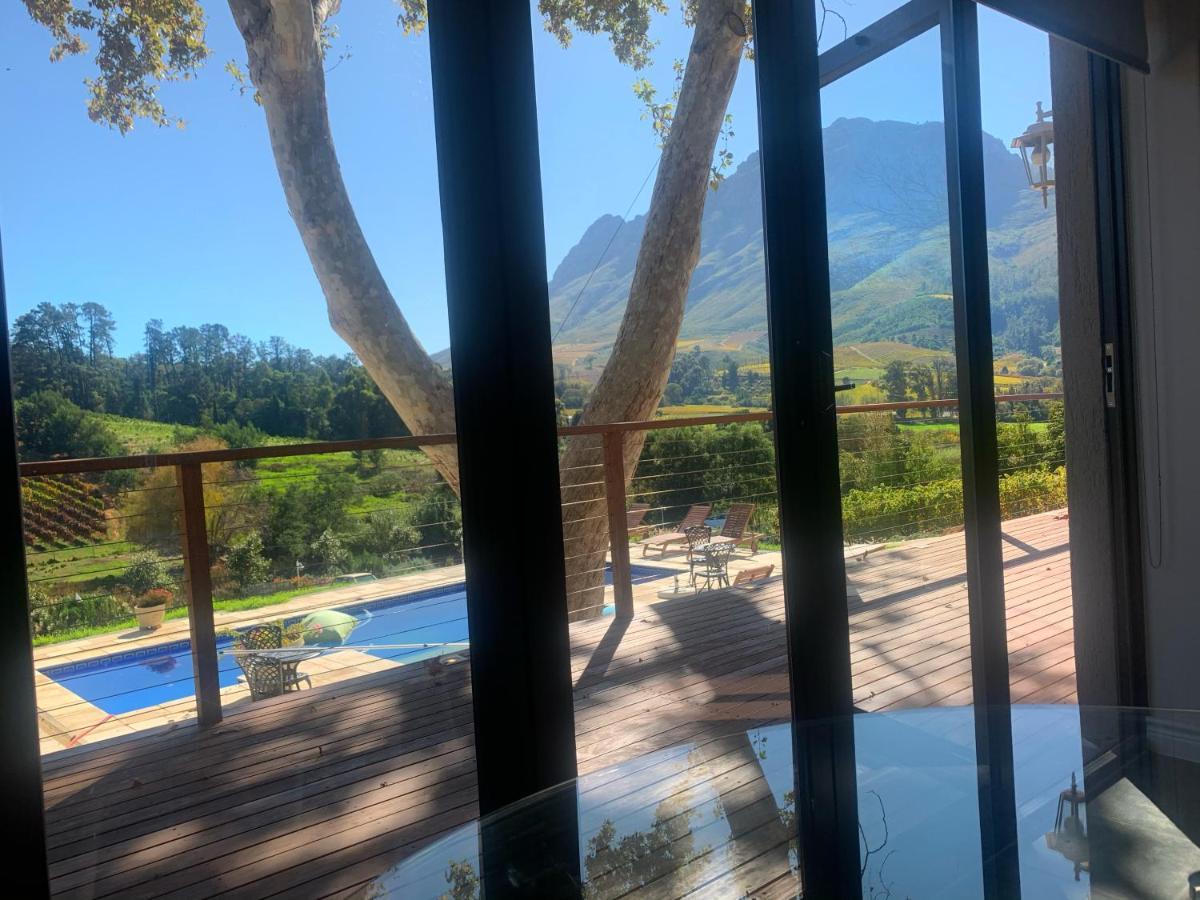 Alluvia Boutique Winery & Luxury Accommodation 斯泰伦博斯 客房 照片