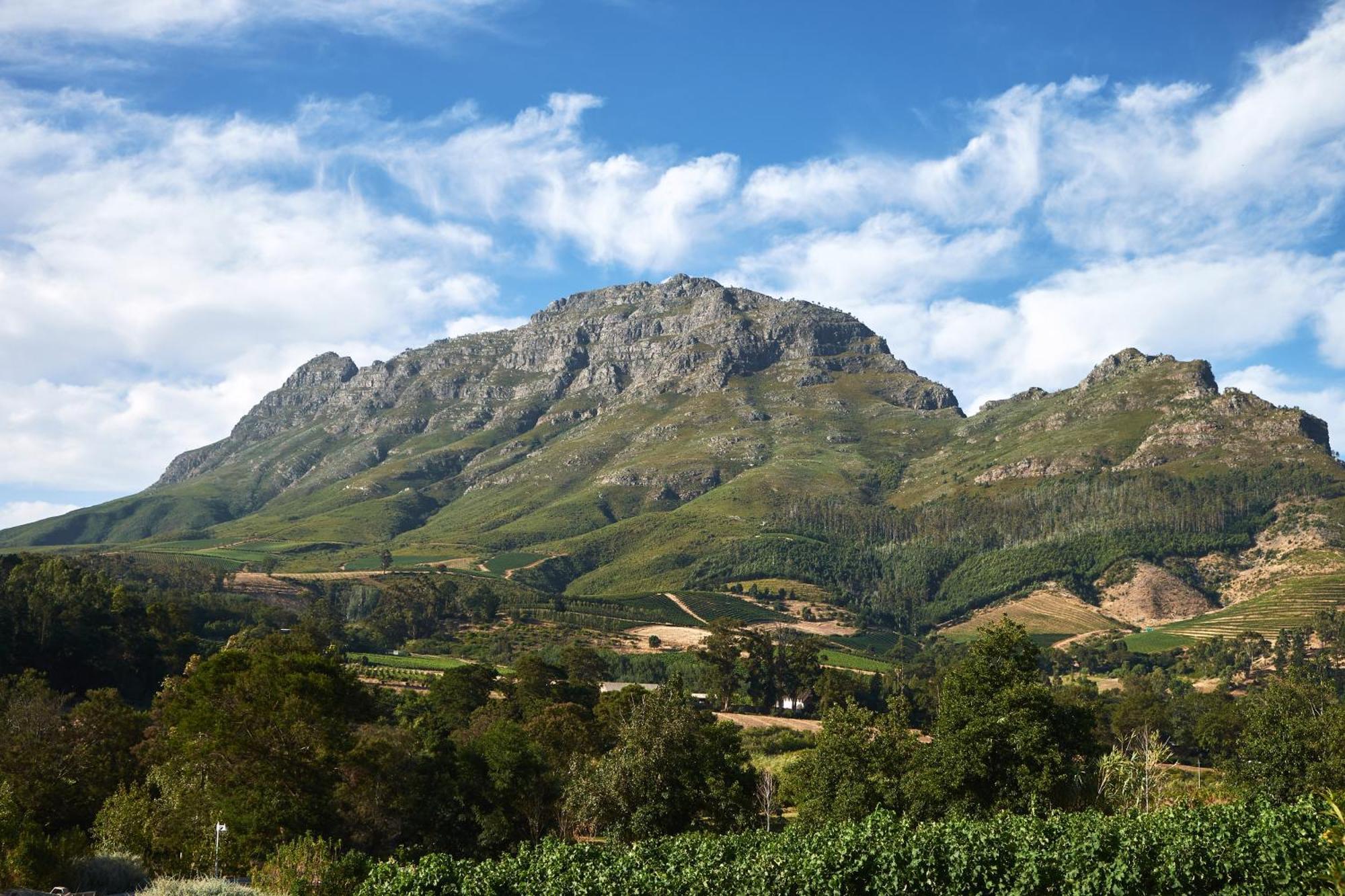 Alluvia Boutique Winery & Luxury Accommodation 斯泰伦博斯 客房 照片 The Helderberg