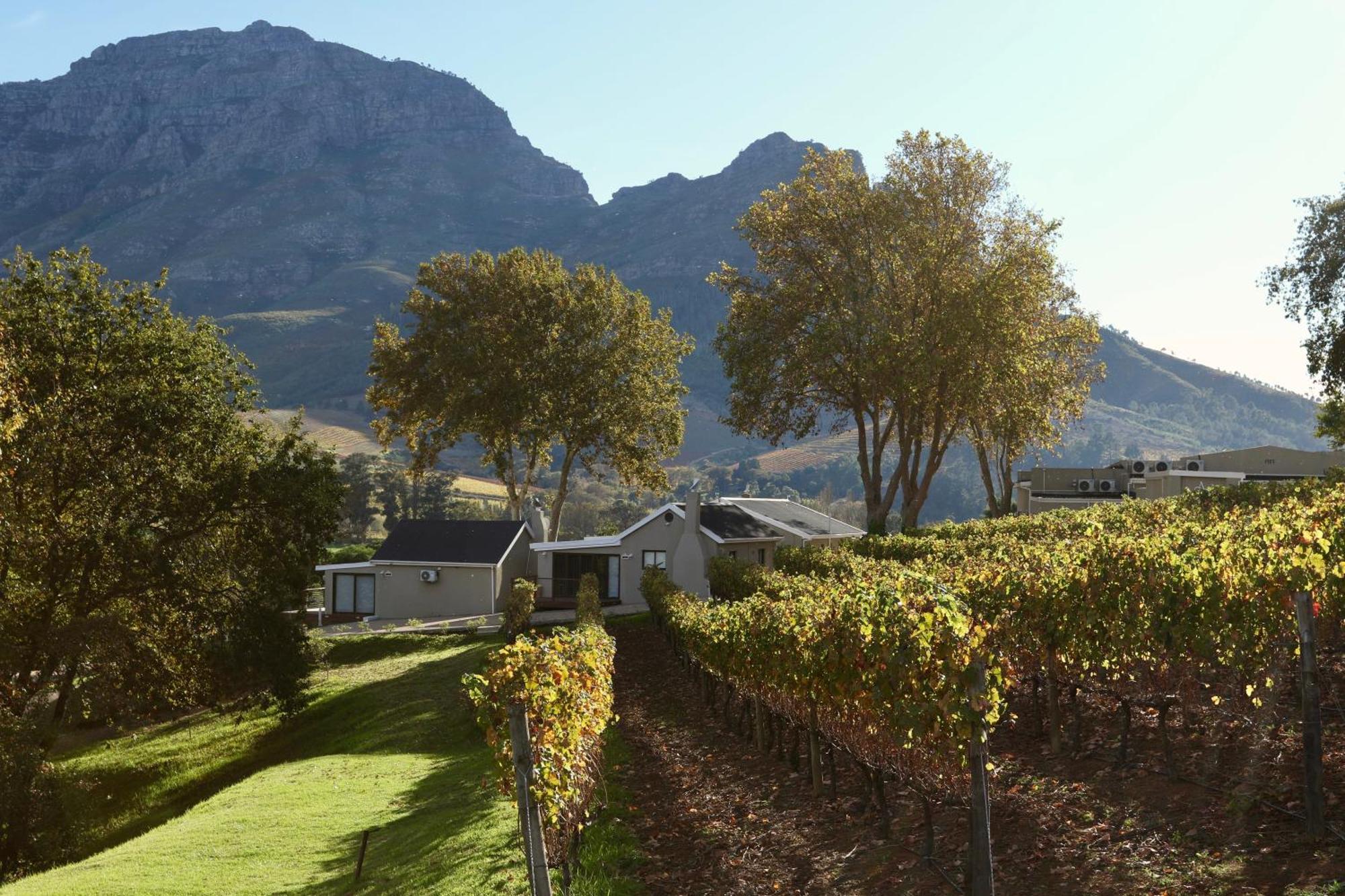 Alluvia Boutique Winery & Luxury Accommodation 斯泰伦博斯 客房 照片 Wine estate in Stellenbosch